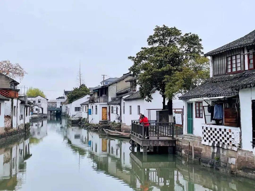 小犀牛救援